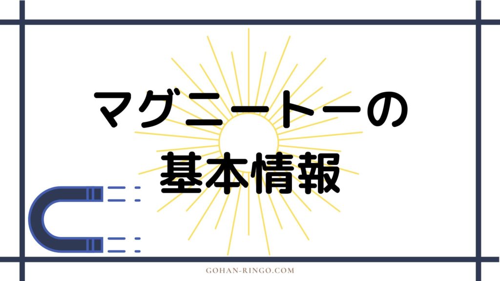 マグニートーの基本情報