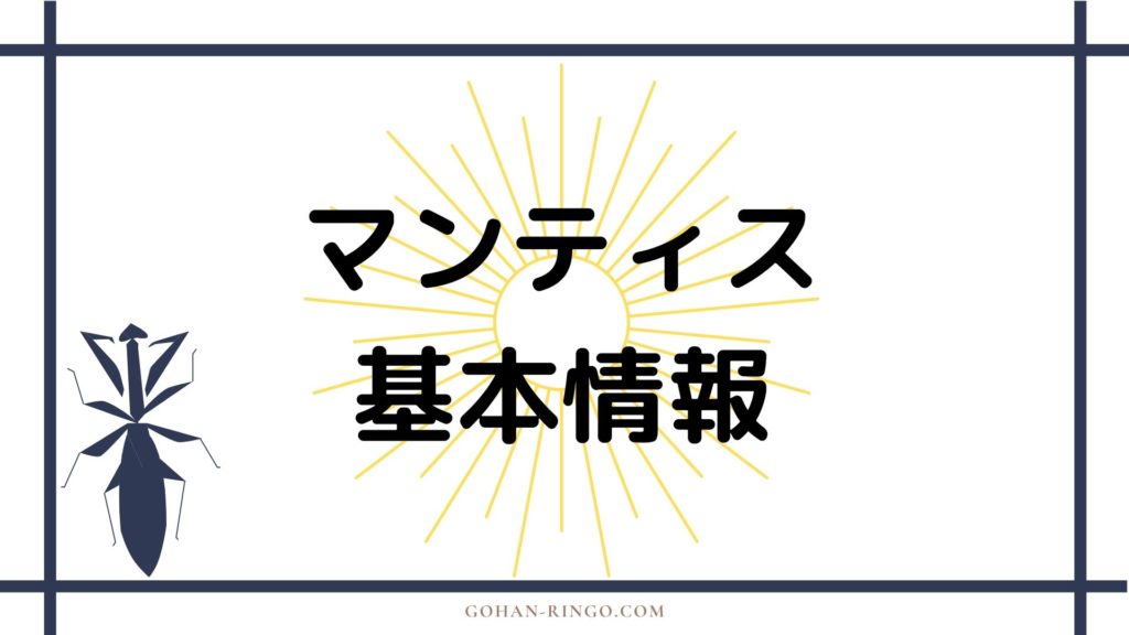 マンティス基本情報