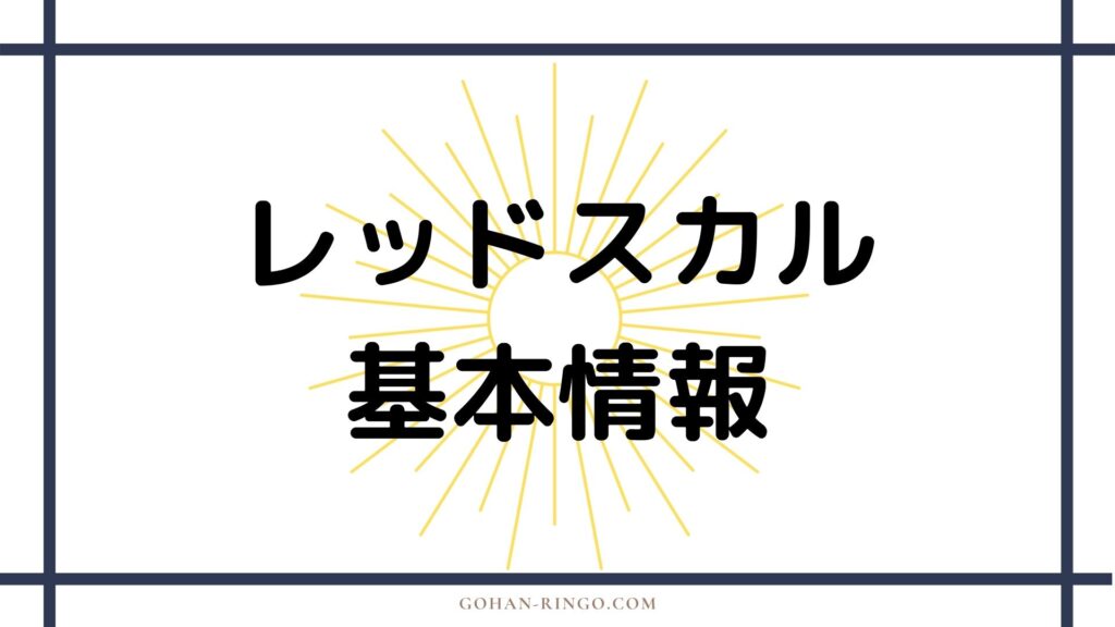 ヨハン・シュミット／レッドスカル（映画）の基本情報