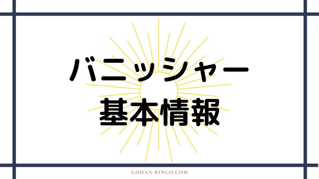 バニッシャーの基本情報