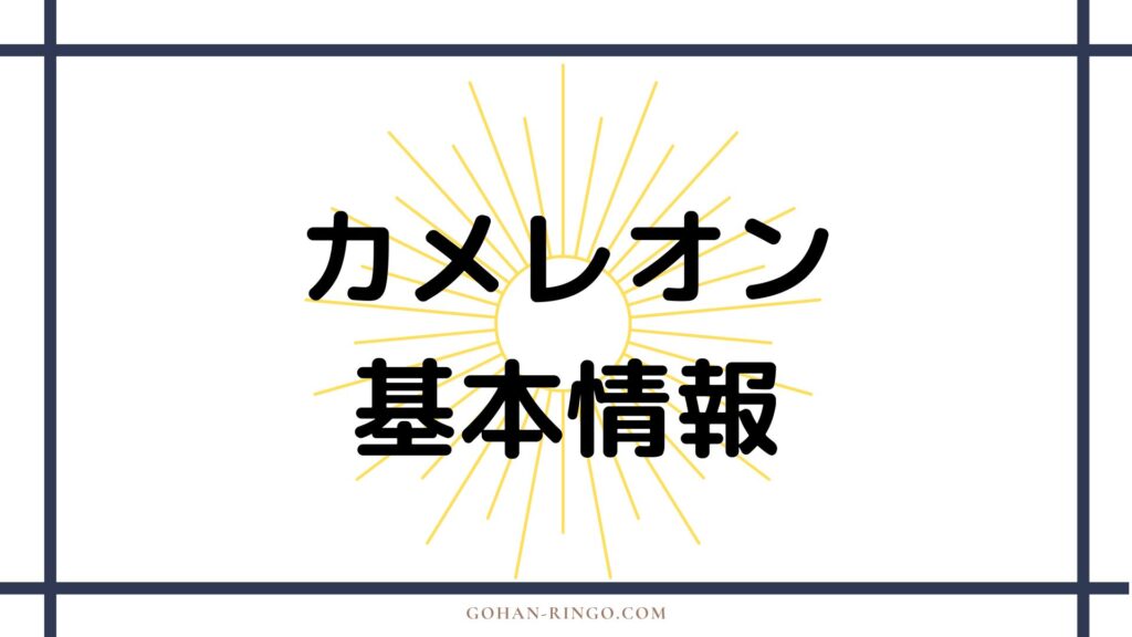 カメレオンの基本情報